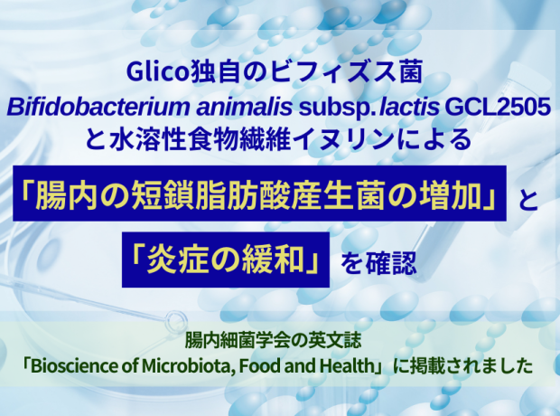 GCL2505株とイヌリンによる「腸内の短鎖脂肪酸産生菌の増加」と「炎症の緩和」を確認