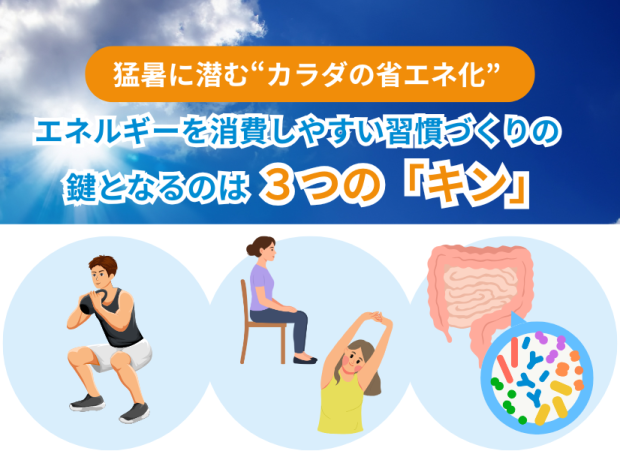 見落とされがちな「安静時エネルギー消費」が夏太りの分かれ目に